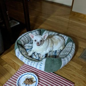 Meet your Posher, Deberah